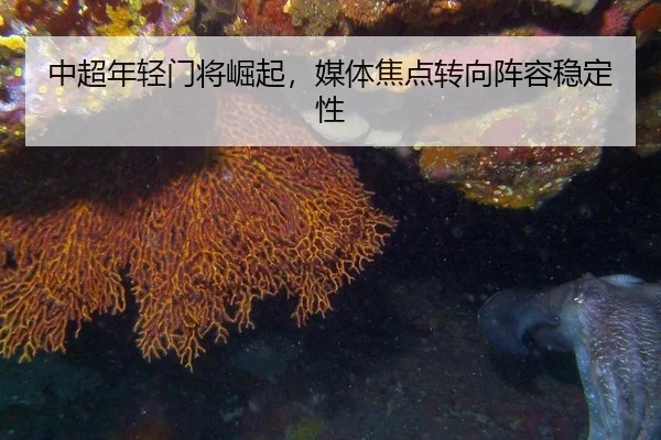zhong-chao-nian-qing-men-jiang-jue-qi-mei-ti-jiao-dian-zhuan-xiang-zhen-rong-wen-ding-xing-2-945.jpg